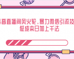 抖音直播间风火轮,暴力微信引流技术,低成本日加上千法-致富资源库