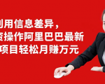 利用信息差异，零投资操作阿里巴巴最新管道项目轻松月赚10000+-致富资源库