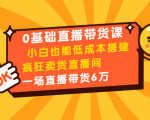 0基础直播带货课:小白也能低成本搭建疯狂卖货直播间:1场直播带货6万-致富资源库