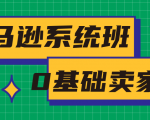 亚马逊系统班,专为0基础卖家量身打造,亚马逊运营流程与架构-致富资源库