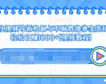 视频号新机制与不刷赞撸养生茶玩法,轻松日赚1000+-致富资源库