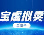 黑帽子淘宝虚拟卖货项目,单店每月收入5000+-致富资源库