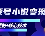 柚子微信视频号小说变现项目，全新玩法零基础也能月入10000+【核心技术】-致富资源库