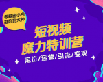 零基础小白进阶到大神《短视频魔力特训营》定位-运营-引流-变现-致富资源库