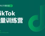 2020最新TikTok流量增长训练营(完结)附PPT-致富资源库