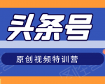 头条号原创视频特训营:一对一带你玩转短视频,新号10天日收益破252元-致富资源库