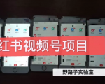 野路子小红书视频号1.0项目，直接上手操作就能赚钱的视频号项目-致富资源库