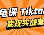 龟课·TikTok变现实战训练营线上第1期,多种变现模式,轻松赚美刀-致富资源库