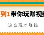 从0到1带你玩赚视频号:这么玩才赚钱,日引流500+日收入1000+核心玩法-致富资源库