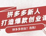 拼多多新人打造爆款创业课：快速引流持续出单，适用于所有新人-致富资源库