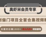 暴利偏门项目全套合集视频教程:你要的日赚1000+月入几万+项目都有-致富资源库