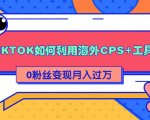 详细解析TIKTOK如何利用海外CPS+工具0粉丝轻松变现月入过万-致富资源库