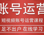 短视频账号运营课程：从话术到短视频运营再到直播带货全流程，新人快速入门-致富资源库