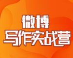 村西边老王·微博超级写作实战营,帮助你粉丝猛涨价值999元-致富资源库