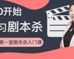 红娘子·从0开始学习剧本杀，你的第一堂剧本杀入门课 简单易懂 市场需求大-致富资源库