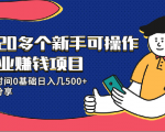 20多个新手可操作的副业赚钱项目：业余时间0基础日入几500+实操分享-致富资源库
