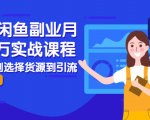 2021闲鱼副业月入过万实战课程:从开店到选择货源到引流,全程实战教学-致富资源库