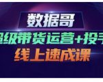 数据哥·超级带货运营+投手线上速成课，快速提升运营和熟悉学会投手技巧-致富资源库