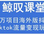 鲸叹号·海外TIKTOK训练营，百万项目海外版抖音tiktok流量变现玩法-致富资源库
