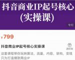 抖音商业IP起号核心实操课，带你玩转算法，流量，内容，架构，变现-致富资源库