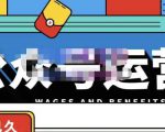 零零已久·从0-1运营公众号,零基础小白也能上手,系统性了解公众号运营-致富资源库