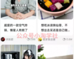 京东视频带货项目分享，发视频就能操作赚钱-致富资源库