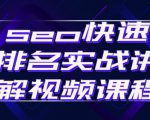 seo快速排名实战讲解视频课程,揭秘seo快排原理-致富资源库