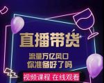 【及至专享】DY赋能系统星课程,流量万亿风口,你准备好了吗-致富资源库