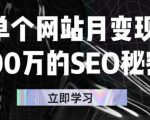 单个网站月变现100万的SEO秘密,百分百做出赚钱站点-致富资源库