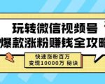 玩转微信视频号爆款涨粉赚钱全攻略,快速涨粉百万变现万元秘诀-致富资源库