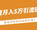 老古董·抖音月入5万引流玩法,看看老司机如何玩转抖音(附赠:抖音另类引流思路)-致富资源库