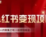 渣圈学苑·小红书虚拟资源变现项目,一起捞钱掘金价值1099元-致富资源库