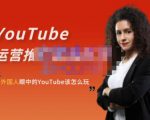 外国人眼中的YouTube该怎么玩?Elisa·YouTube运营推广实战技巧-致富资源库