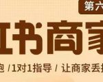 贾真-小红书商家营第6期商家版,21天带货陪跑课,让商家丢掉付流量-致富资源库