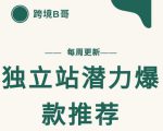 【跨境B哥】独立站潜力爆款选品推荐，测款出单率高达百分之80-致富资源库
