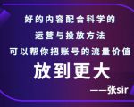 张sir账号流量增长课,告别海王流量,让你的流量更精准-致富资源库