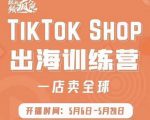 疯人院:TikTok Shop出海训练营（一店卖全球)，出海抢占全球新流量-致富资源库