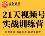 张萌21天视频号实战训练营,裂变涨粉、内容创作、视频号变现 价值298元-致富资源库