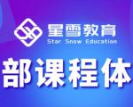 星雪教育淘系高级班，更全的运营提升方案，零基础由浅入深，店铺最新玩法-致富资源库