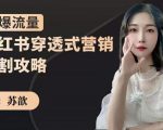 苏歆：小红书穿透式营销收割攻略，引爆流量，助你玩转小红书-致富资源库