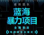 引流哥蓝海暴力躺赚项目：无需发圈无需引流无需售后，每单赚50-500（教程+线报群)-致富资源库