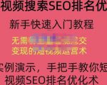 宋老师·短视频搜索SEO优化，教你10分钟创作一个短视频，三天排名上第一-致富资源库