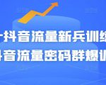 Peter抖音流量新兵训练营-破解抖音流量密码群爆训练营（新兵）-致富资源库