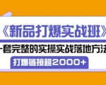 凌童《新品打爆实战班》,一套完整的实操实战落地方法，打爆链接超2000+（28节课)-致富资源库