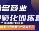 杨名商业IP孵化训练营，从商业到内容到转化一站式学 价值5980元-致富资源库