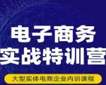 民赛电气内部出品：电子商务实战特训营，全方位带你入门电商，308种方式玩转电商-致富资源库