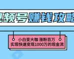 玩转微信视频号赚钱：小白变大咖涨粉百万实现快速变现1000万的现金流-致富资源库