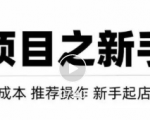 虚拟项目快速起店模式，0成本打造月入几万虚拟店铺！-致富资源库