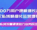 8000万用户规模增长方法论私域精细化运营增长,私域流量硬课助力业务跃迁-致富资源库