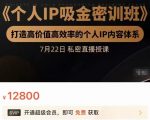 个人IP吸金密训班,打造高价值高效率的个人IP内容体系(价值12800元)-致富资源库
